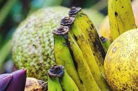 Havana Banana
